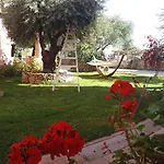 I Ginepri